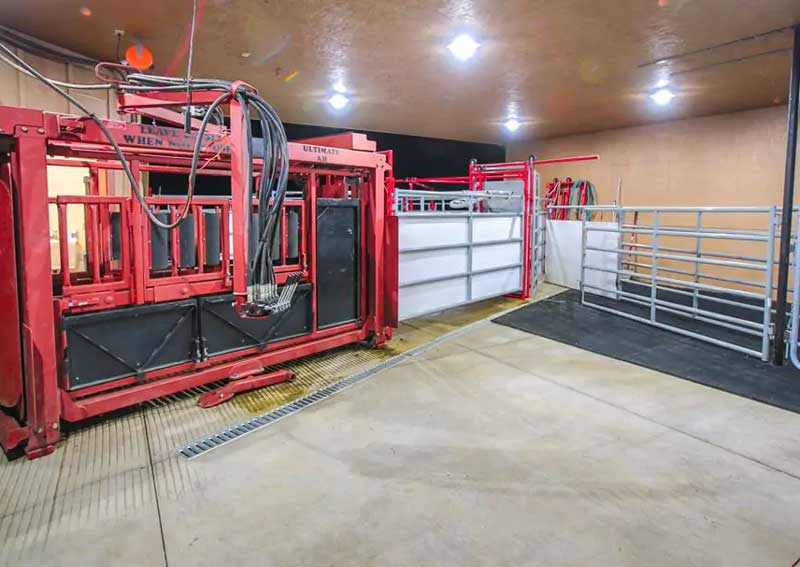 Carousel Slide 5: Ranch animal veterinarians